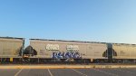 ACFX 66574